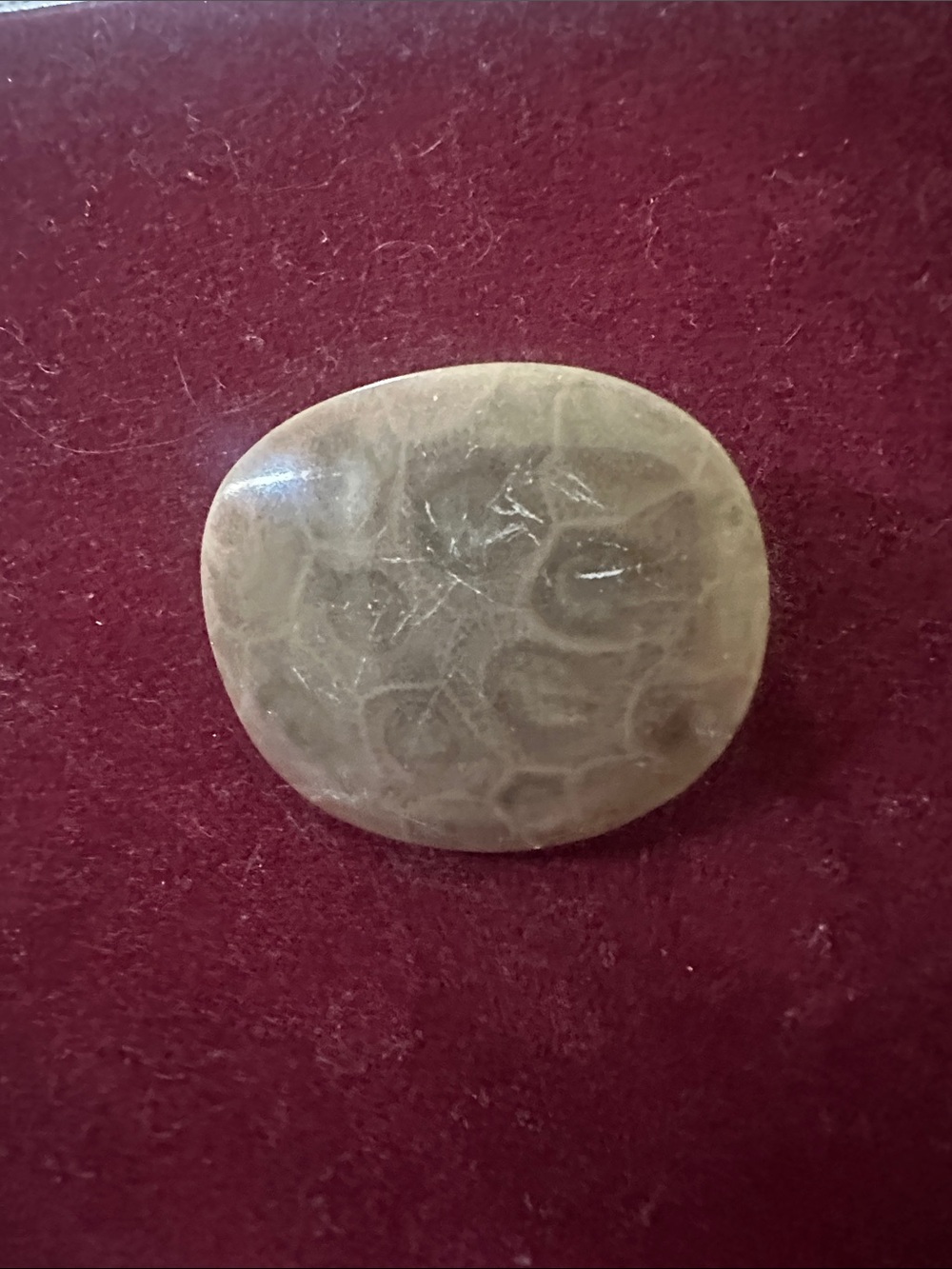 Natural Brown Stone Brooch - Subtle Earth-Tone Accent